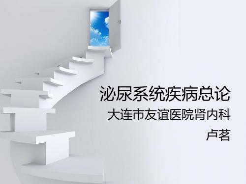 泌尿系统疾病总论