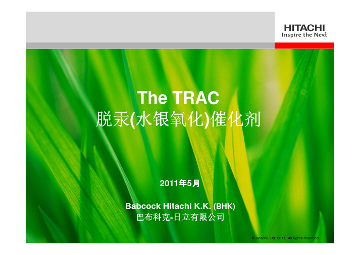 TheTRAC脱汞水银氧化催化剂-日立