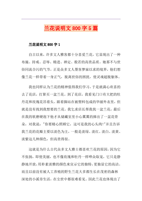 兰花说明文800字5篇