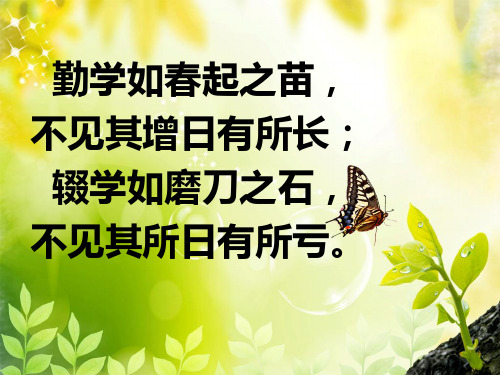 黄金心态ppt2