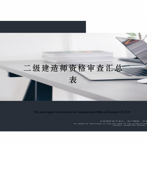 二级建造师资格审查汇总表