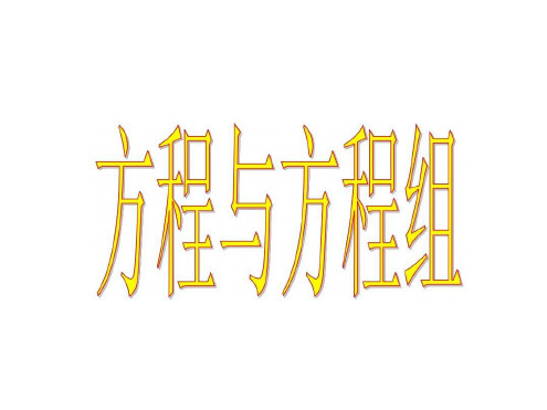 中考数学复习方程与方程组[人教版]