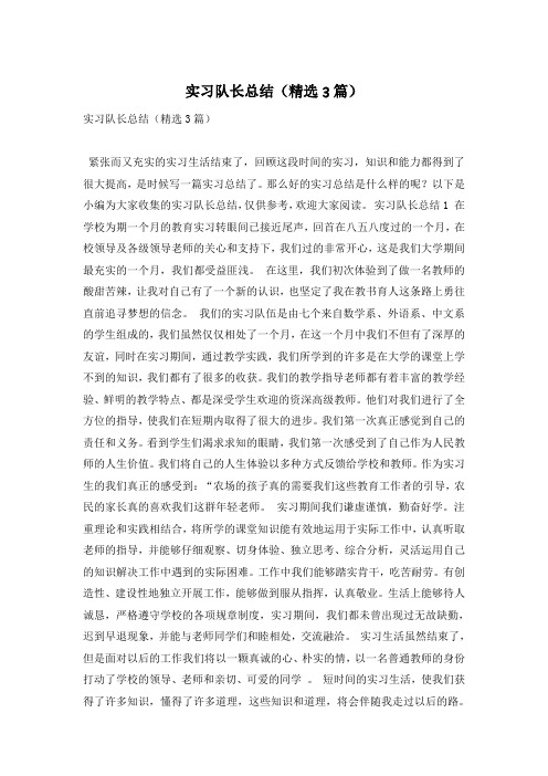实习队长总结(精选3篇)
