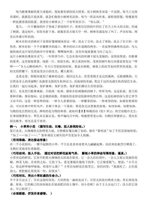 每当酷暑难耐的夏天来临时