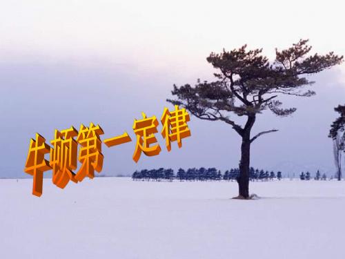 高一物理牛顿第一定律2(新编201908)