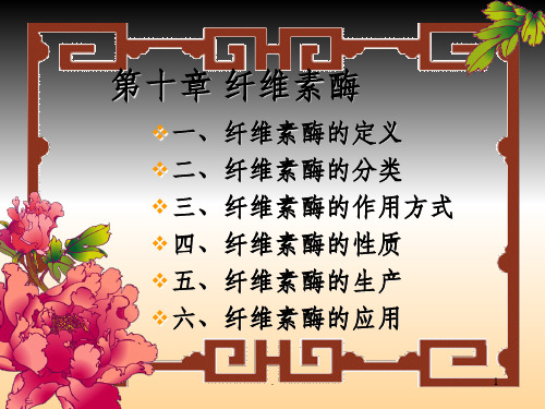 纤维素酶完整