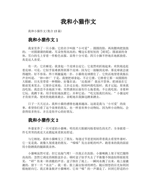 我和小猫作文