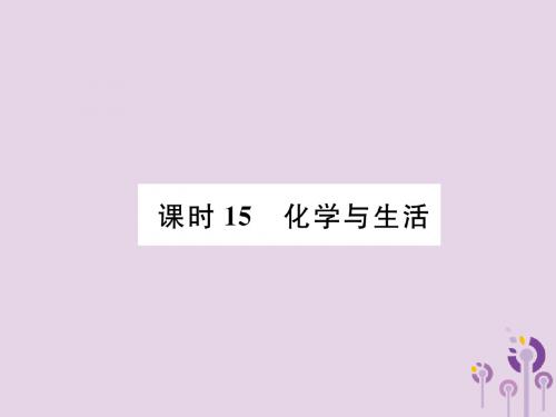 贵阳专版2019年中考化学总复习化学与社会发展课时15化学与生活精讲课件