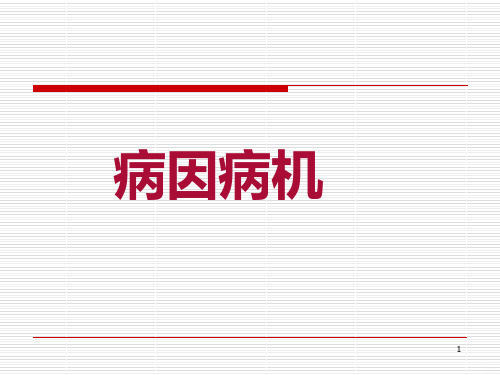 病因病机 一PPT课件