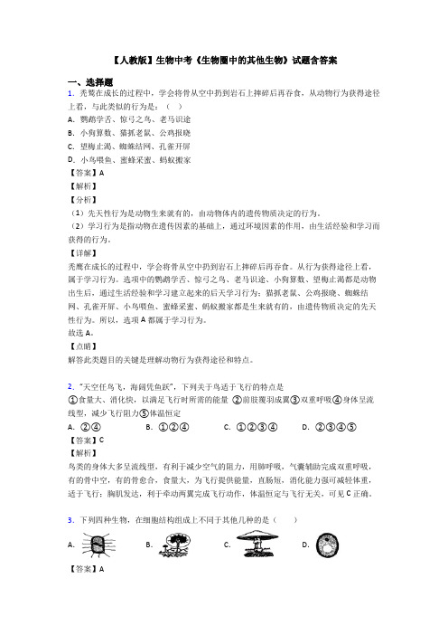 【人教版】生物中考《生物圈中的其他生物》试题含答案