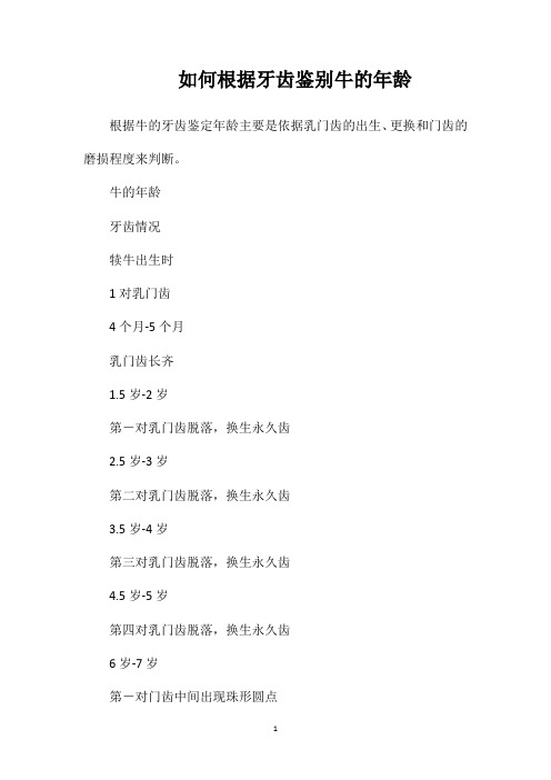 如何根据牙齿鉴别牛的年龄