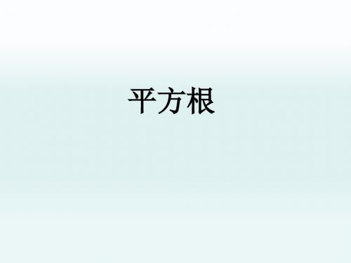《平方根》课件1-优质公开课-青岛8下精品