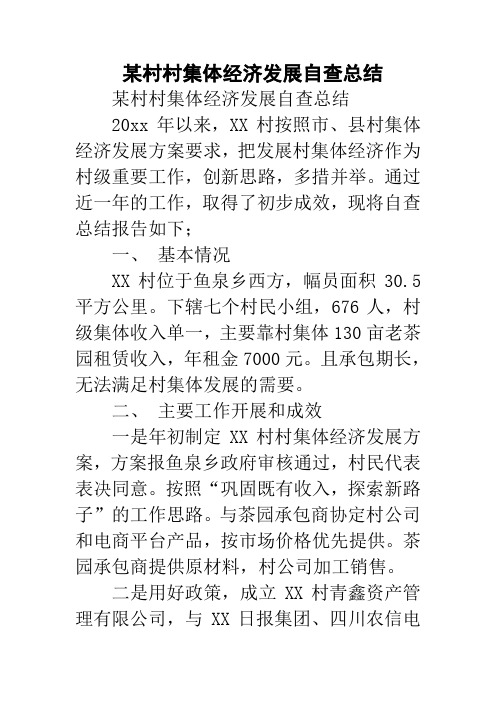 某村村集体经济发展自查总结