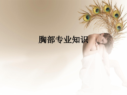 胸部专业知识ppt课件