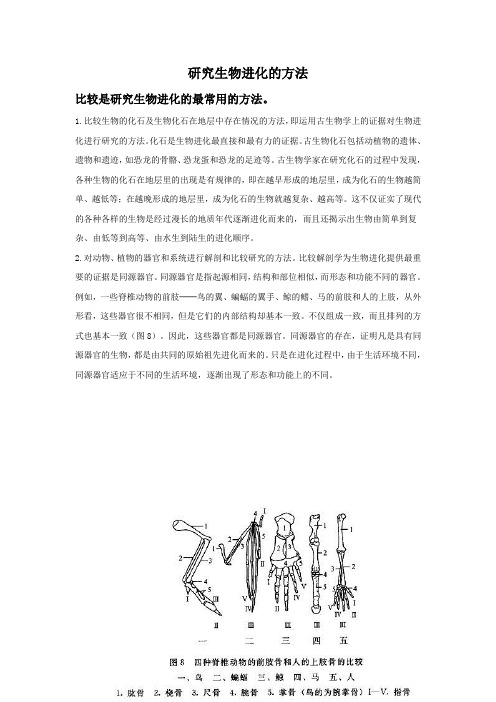 研究生物进化的方法