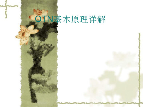 OTN基本原理详解