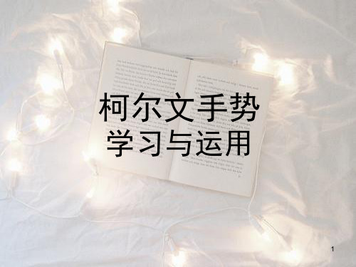 柯尔文手势ppt课件