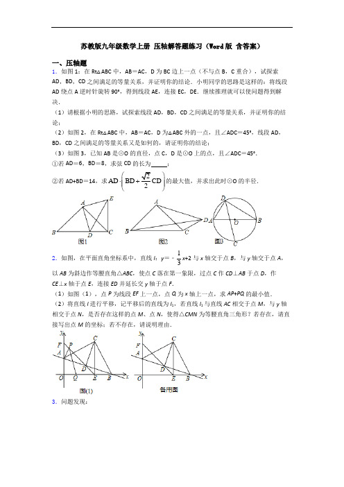 苏教版九年级数学上册 压轴解答题练习(Word版 含答案)