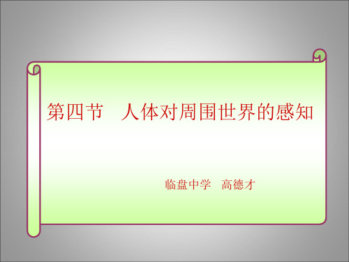 济南版生物七下第四节《人体对周围世界的感知》ppt课件