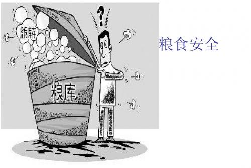 粮食安全