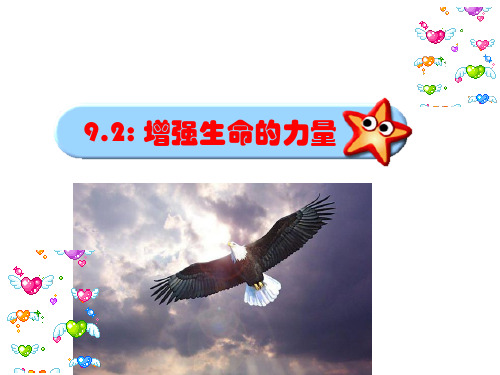 《增强生命的韧性》说课