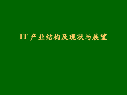 IT产业结构及现状与展望(ppt 29)
