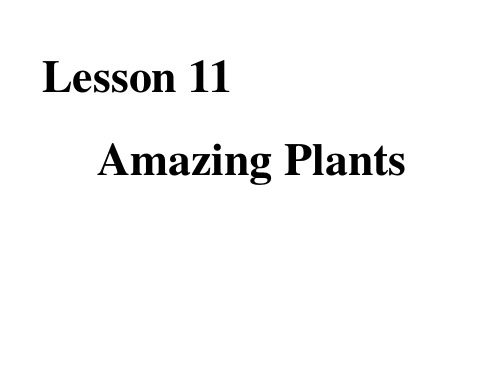 冀教课标版八年级下册第2单元Lesson 11 Amazing Plants(共18张PPT)
