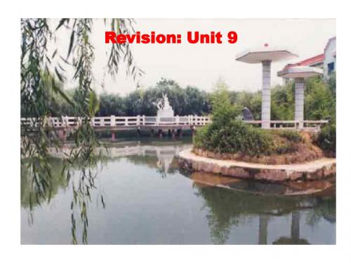 高三英语上学期revision-unit-9(2019新)