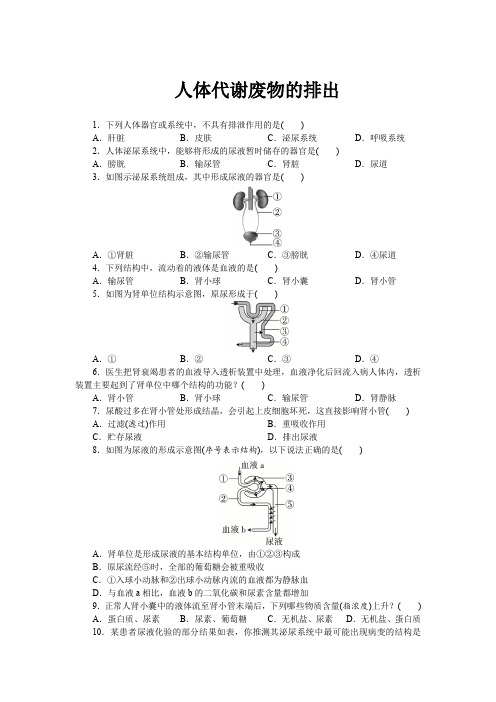 2024年江西省中考生物第一轮复习练习：人体代谢废物的排出