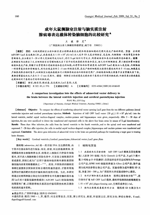 成年大鼠侧脑室注射与脑实质注射腺病毒表达载体转染脑细胞的比较研究