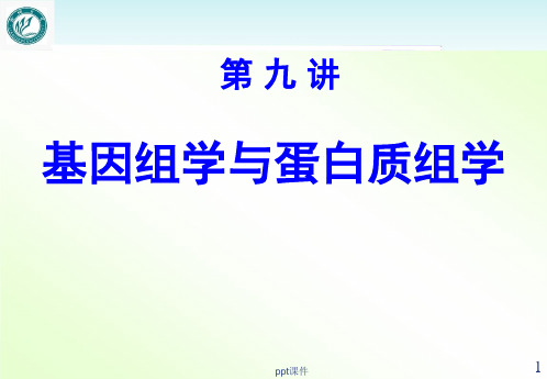 基因组学与蛋白质组学  ppt课件