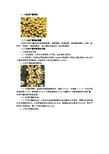 作物栽培学(大豆的产量形成)