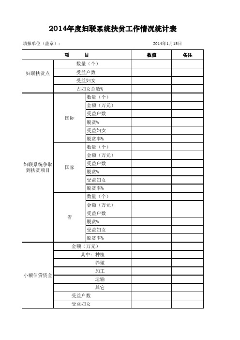 妇联系统扶贫工作情况统计表