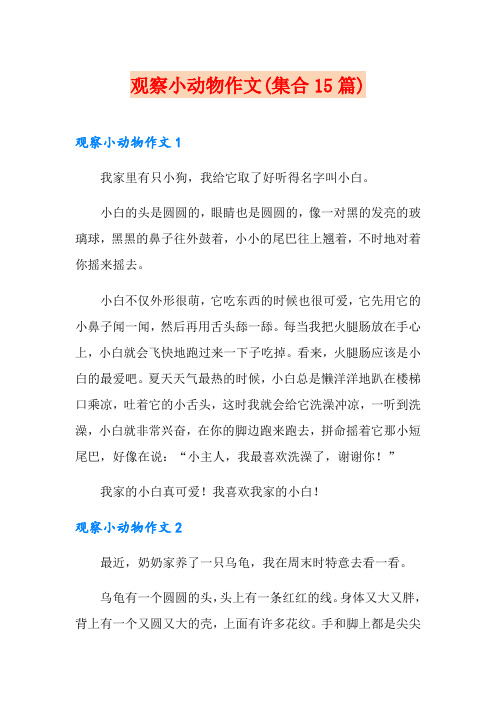 观察小动物作文(集合15篇)