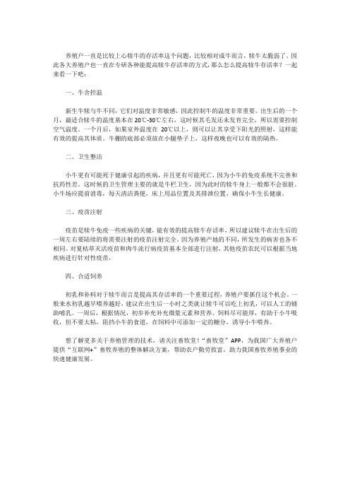 如何提高犊牛存活率？