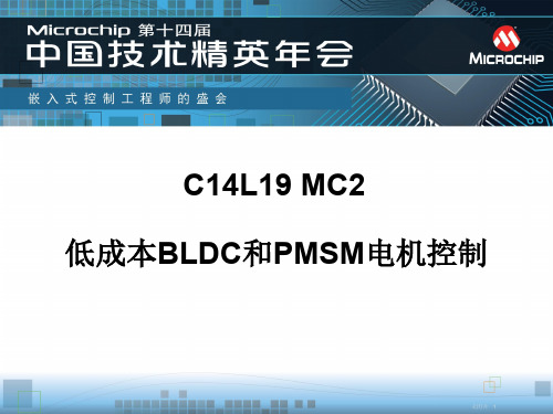 低成本BLDC和PMSM电机控制