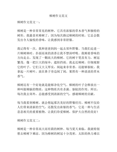 樟树作文范文