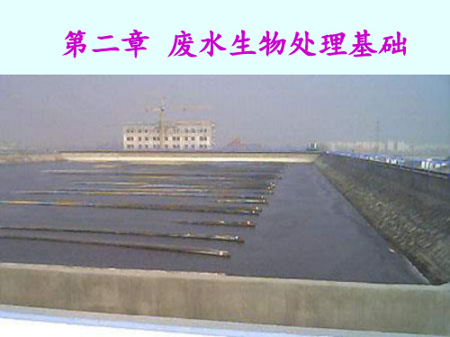 第2章废水生物处理基础素材PPT课件