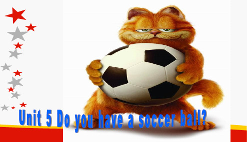 人教版2017初一(上册)英语 unit_5_Do_you_have_a_soccer_ball(全课件)