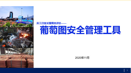 葡萄图安全管理工具应用