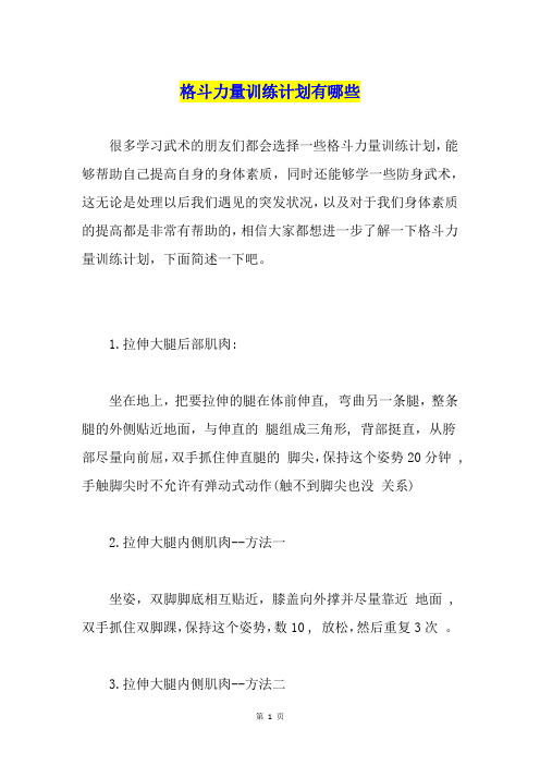 格斗力量训练计划有哪些