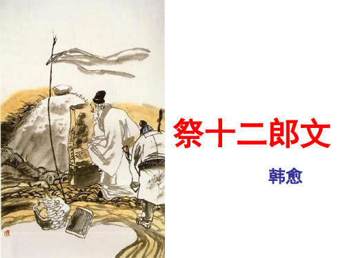 《祭十二郎文 第二课时》公开课课件