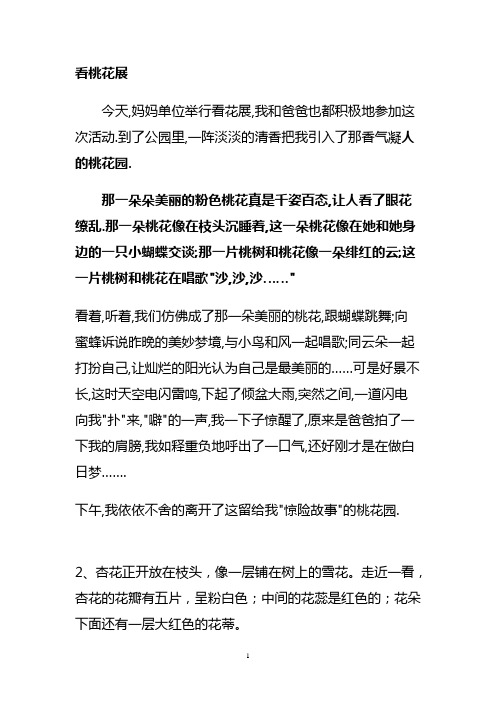 看桃花展