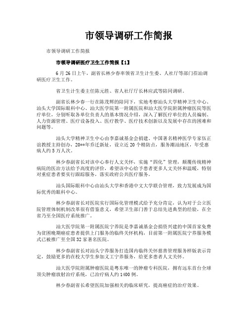 市领导调研工作简报
