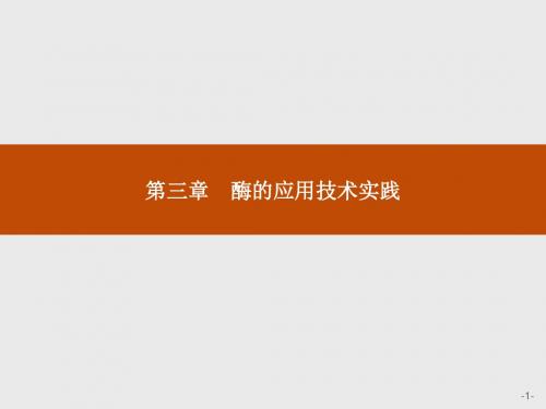 2018-2019学年高二生物苏教版选修1课件：3.1 酶的制备和应用x