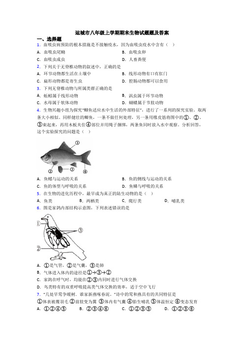 运城市八年级上学期期末生物试题题及答案