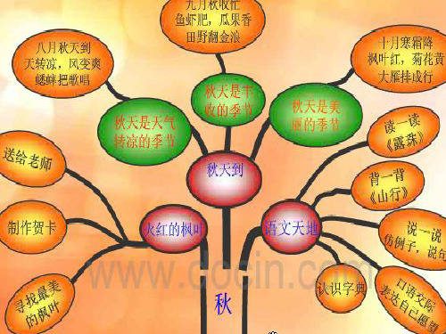 二年级知识树16页PPT