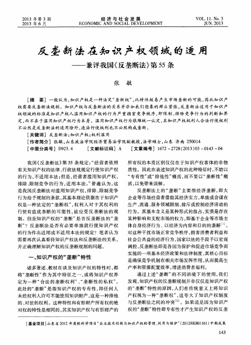 反垄断法在知识产权领域的适用——兼评我国《反垄断法》第55条