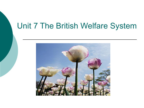 Unit 7 The British welfare system英国福利系统