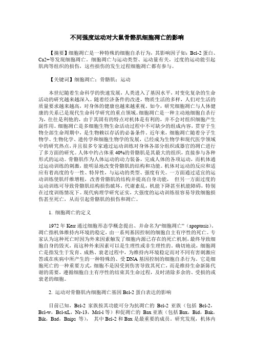 不同强度运动对大鼠骨骼肌细胞凋亡的影响